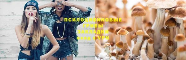 крисы Приозерск