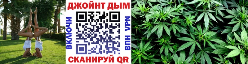 Каннабис сатива Сафоново